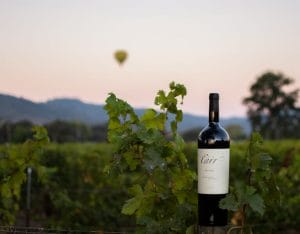 bottle of red wine sitting on vineyard post with vines, mountains, hot air balloon in background